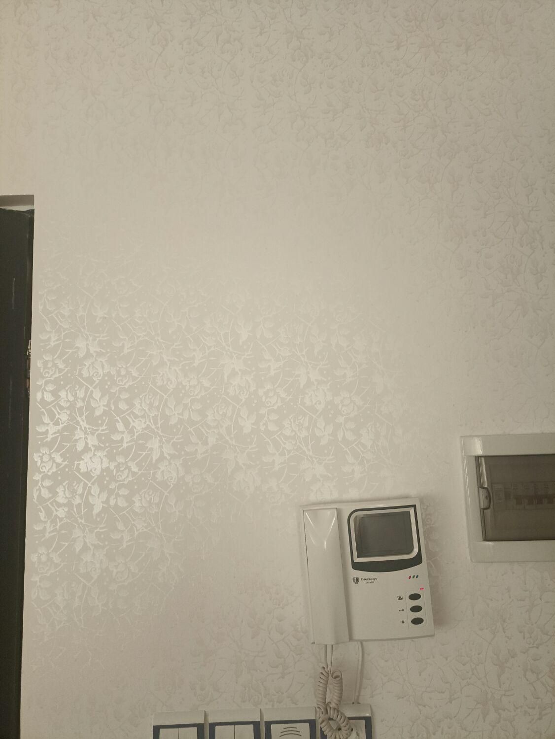 نقاشی ساختمان رنگ آمیزی رنگکاری|خدمات پیشه و مهارت|بیرجند, |دیوار