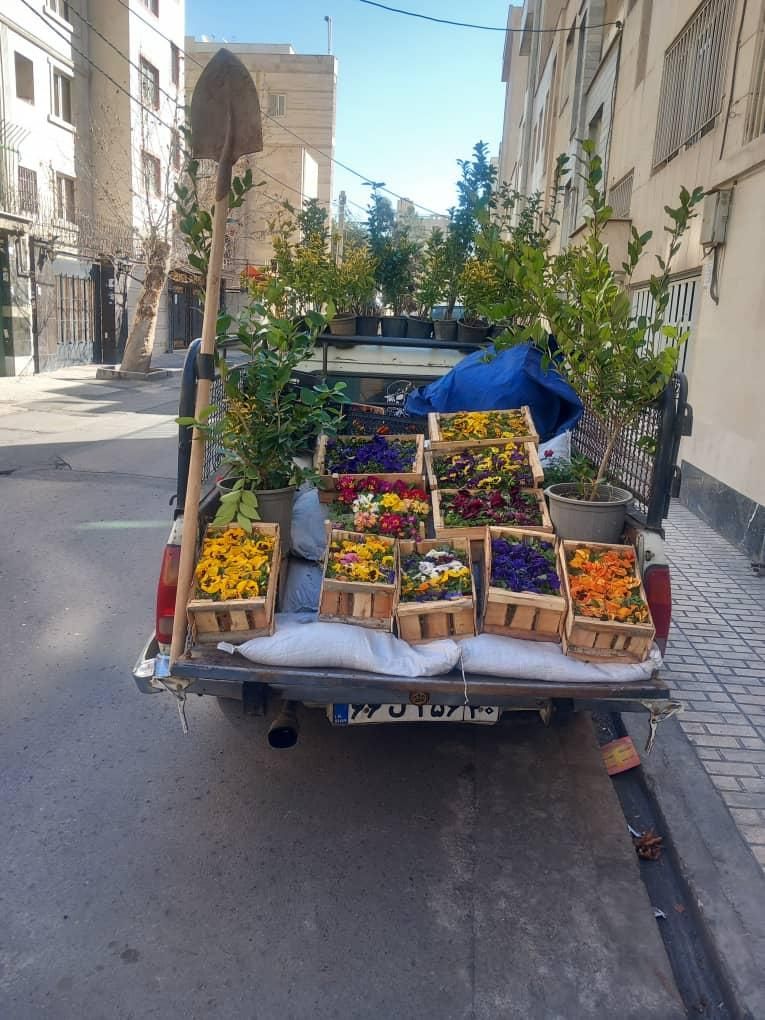 باغبانی و سمپاشی درختان در تمام نقاط شهر|خدمات باغبانی و درختکاری|مشهد, توس (بلوار توس)|دیوار