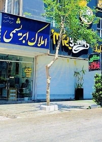 فروش آپارتمان ۱۷۰ متری ۳ خوابه در تپه تلویزیون|فروش آپارتمان|شیراز, تپه تلویزیون|دیوار