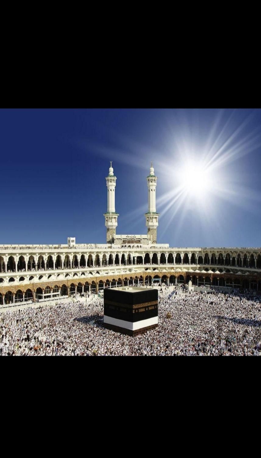 دو عدد فیش حج واجب آذر سال 1386،هرکدام 200میلیون|تور و چارتر|تهران, امیریه|دیوار