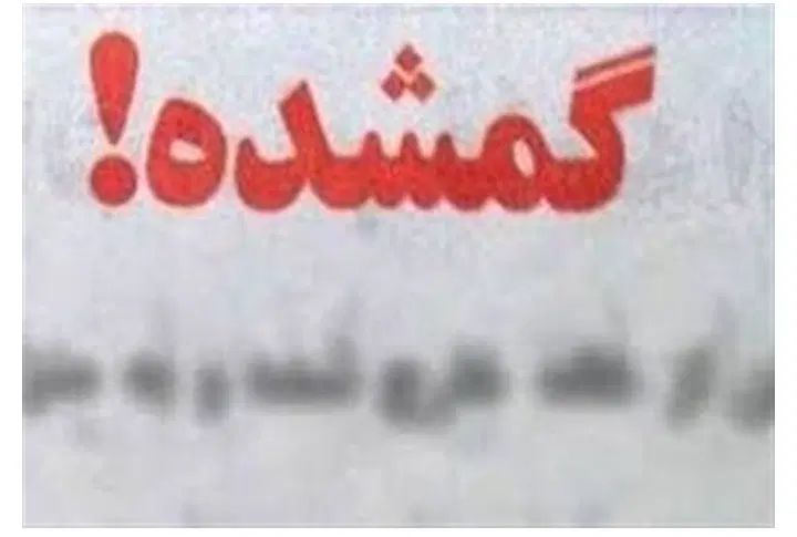 گم شده|اشیا|تهران, دولاب|دیوار