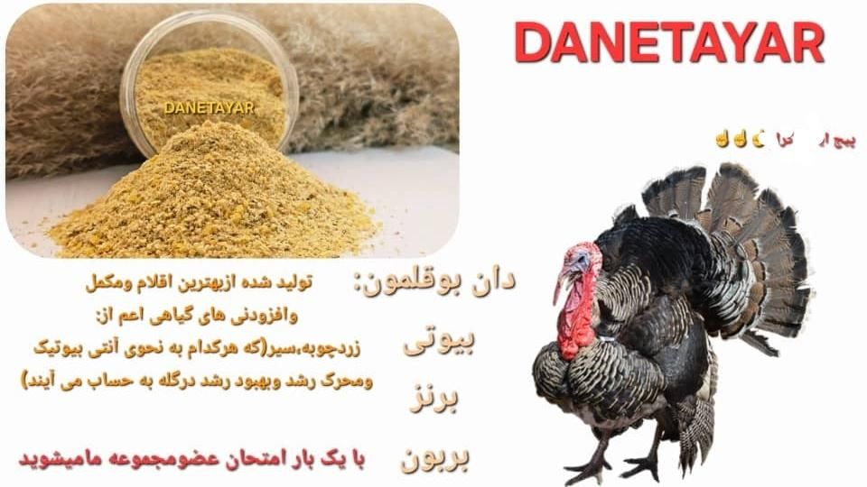 دان،خوراک بوقلمون برنز،بیوتی،بربون|لوازم جانبی حیوانات|کرج, آق تپه|دیوار