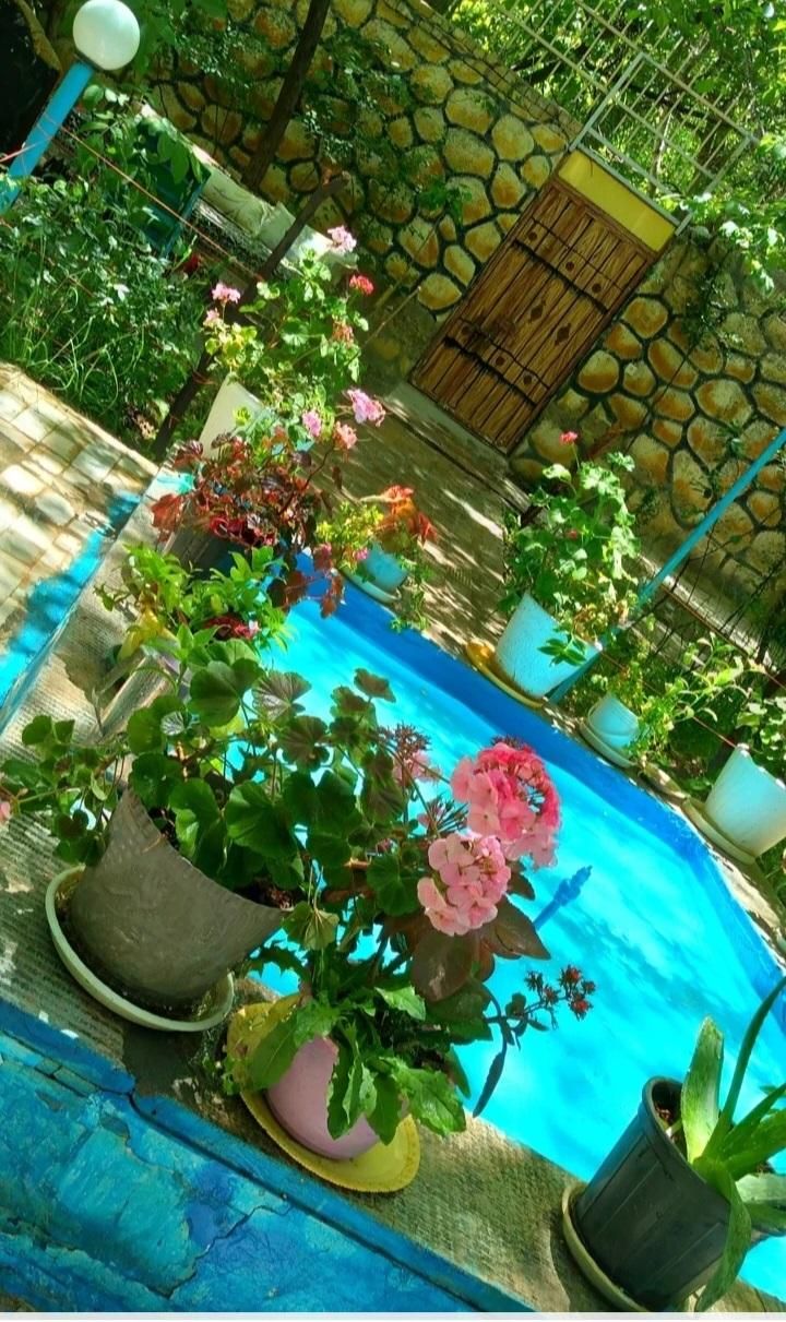 اجاره روزانه سوییت  برای خانواده.کپشن مطالعه شود|اجارهٔ کوتاه‌مدت آپارتمان و سوئیت|خوانسار, |دیوار