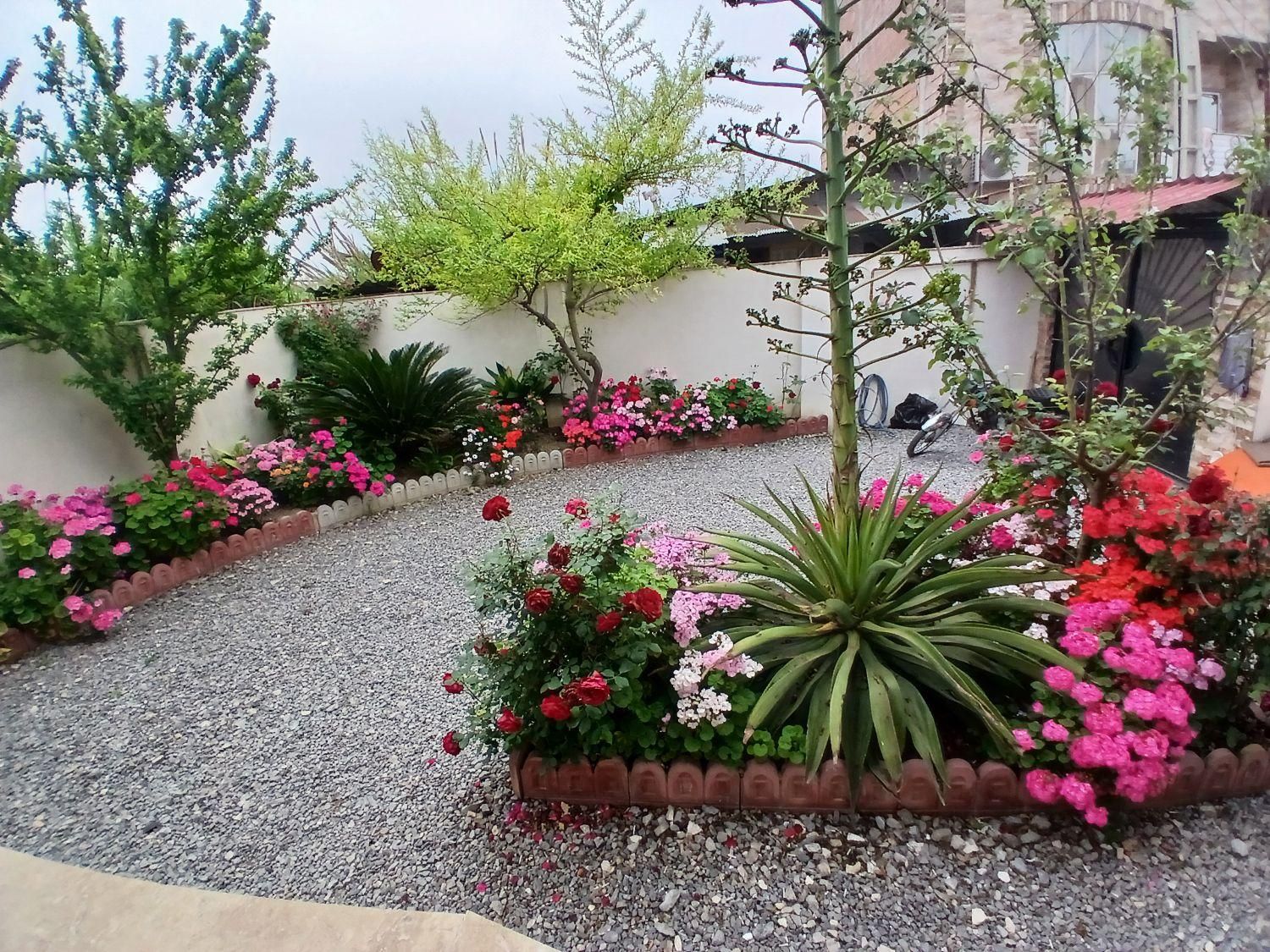 اجاره روزانه/هفتگی/ماهانه ویلا ۵۰ متری|اجارهٔ کوتاه‌مدت ویلا و باغ|بابلسر, |دیوار