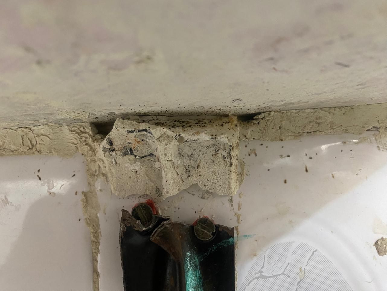 سمپاشی ساس سوسک منازل تضمینی بامجوز بهداشت وضمانت|خدمات نظافت|ماهدشت, |دیوار