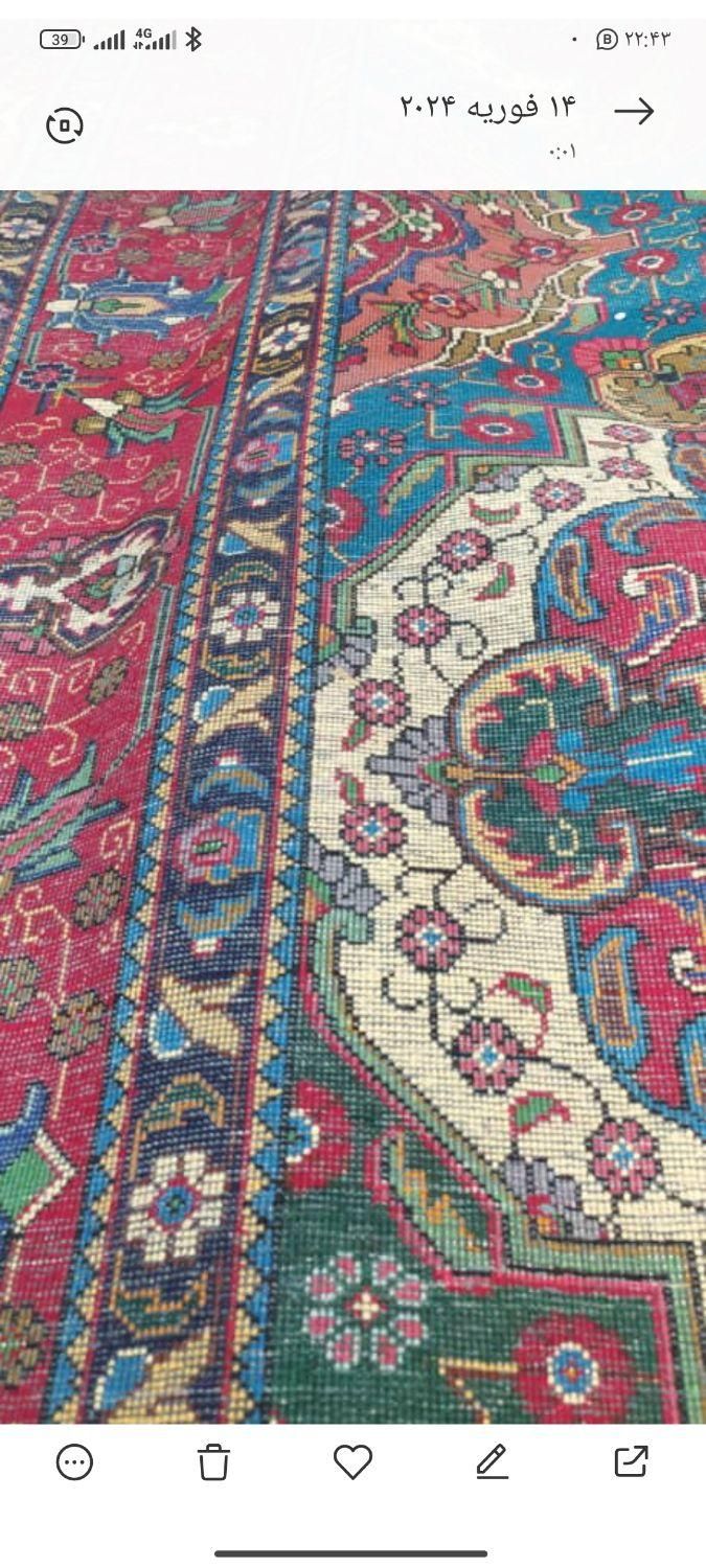 قالی دستباف|فرش|شیراز, دروازه اصفهان|دیوار