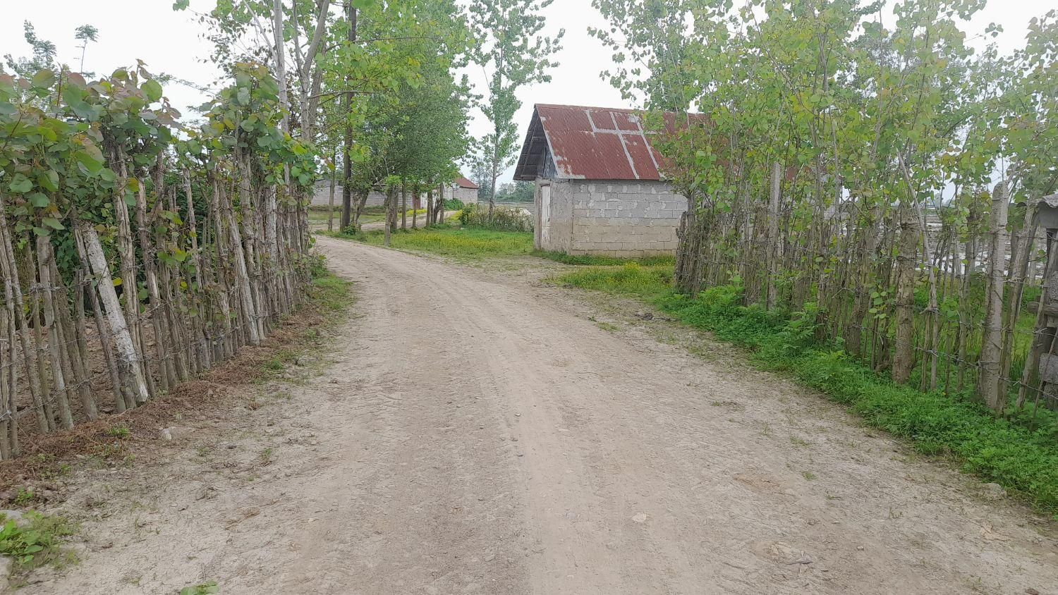 زمین باغی|فروش زمین و ملک کلنگی|تولم شهر, |دیوار