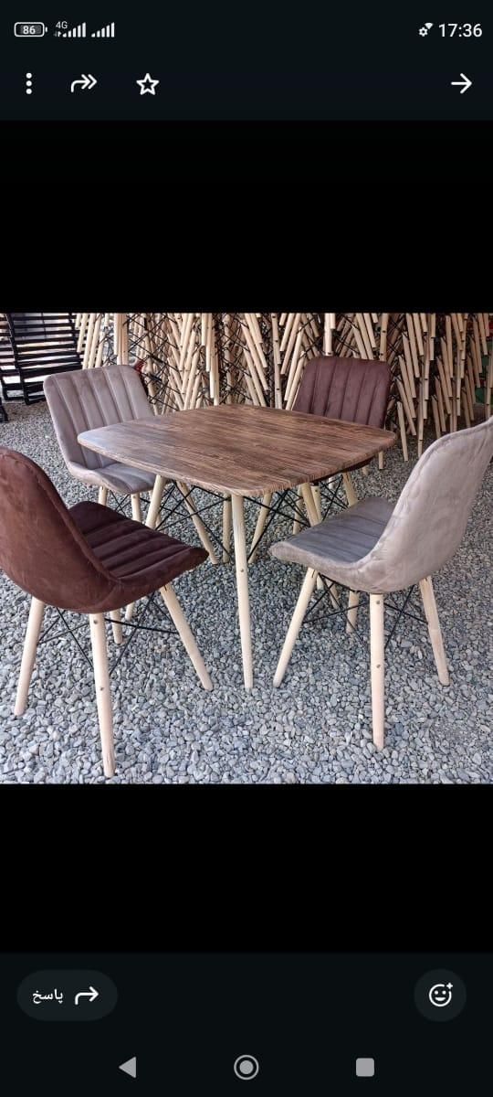 صندلی فایبر و لمسه و زین اسبی|میز و صندلی غذاخوری|زابل, |دیوار