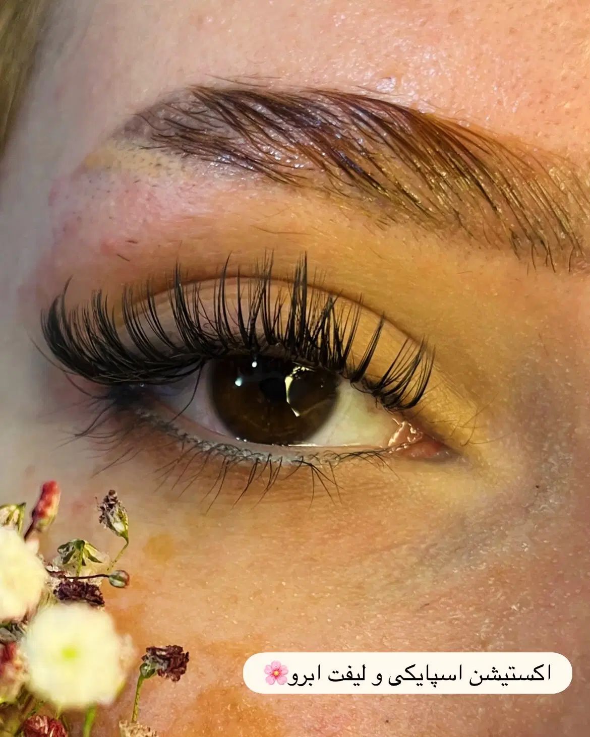 آموزش تخصصی صفرتاصد اکستیشن مژه همراه بامدرک|خدمات آموزشی|مشهد, طلاب|دیوار