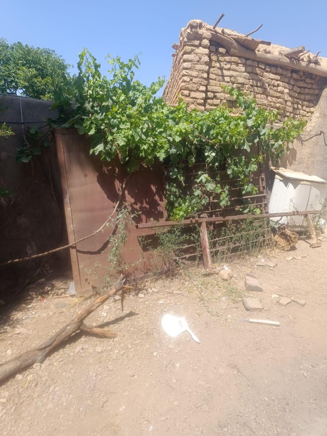 درب باغ یا گاراژ|حراج|تربت جام, میان جام|دیوار