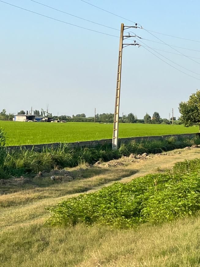 زمین تجاری ۷ هکتاری بر اتوبان کیاکلا به جویبار|فروش دفتر صنعتی، کشاورزی، تجاری|بابل, |دیوار