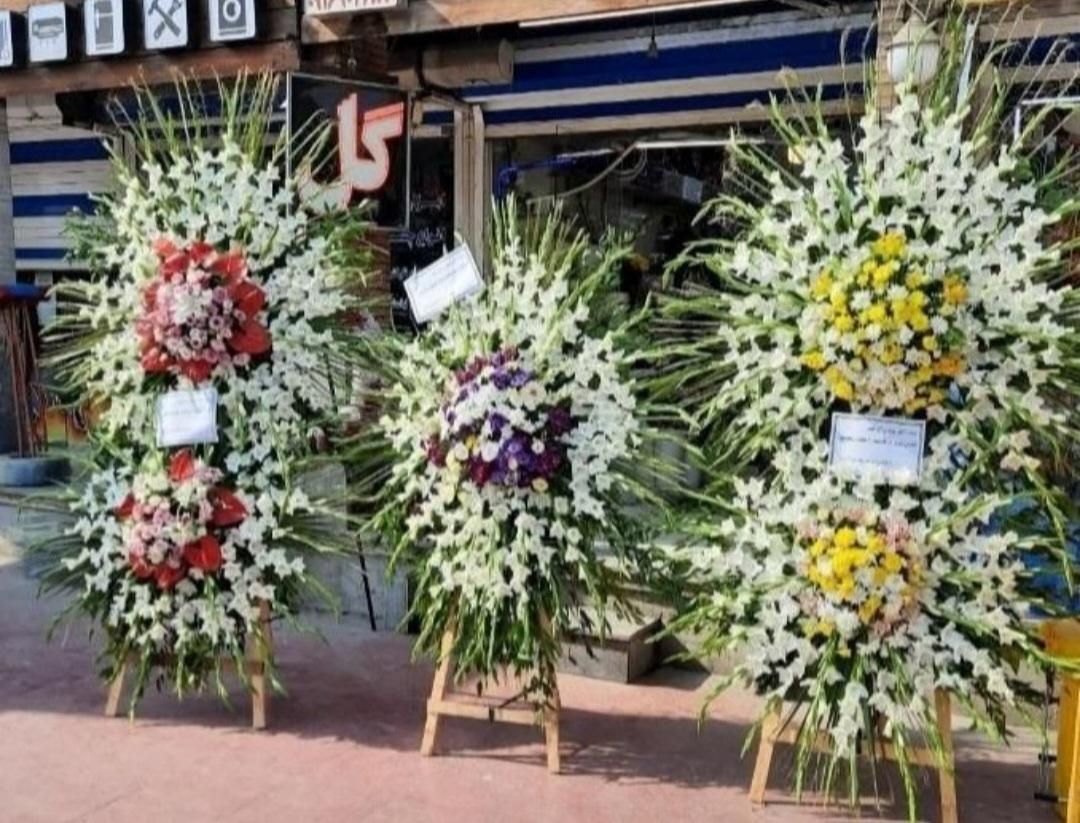 گلفروشی پاراگل|گل و گیاه طبیعی|اهواز, پادادشهر|دیوار