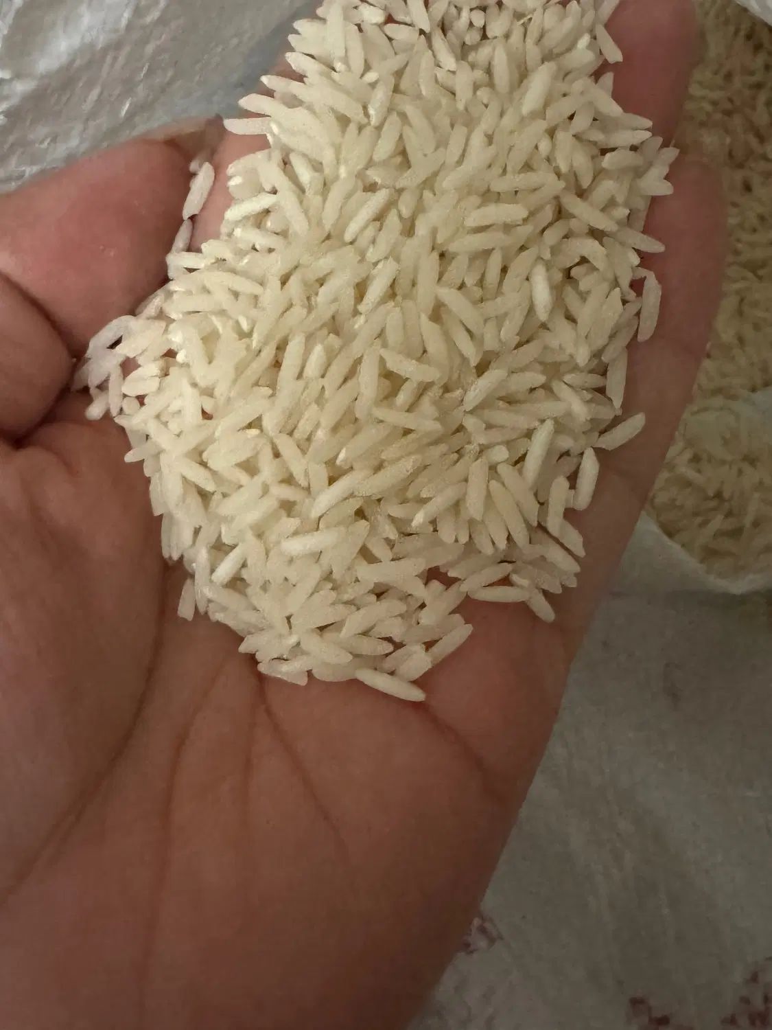 برنج هاشمی الک ۱ سورتینگ زده گیلان|خوردنی و آشامیدنی|تهران, کاج|دیوار