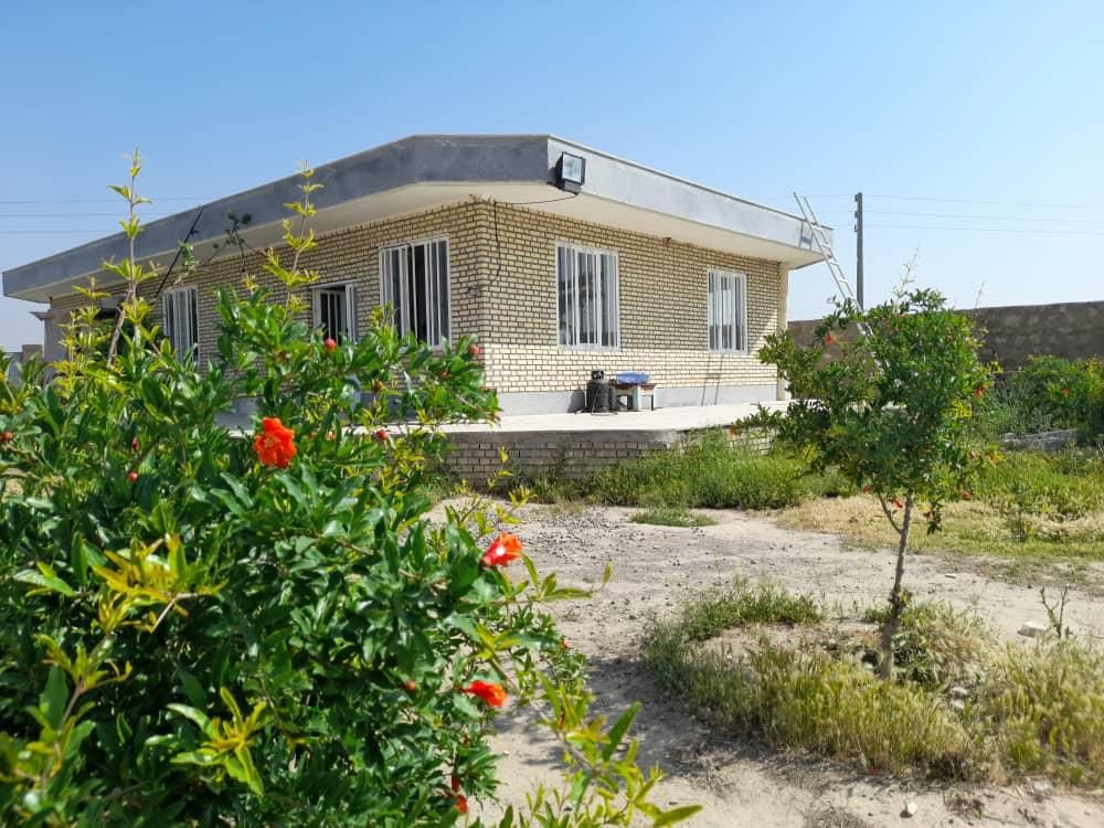 ملک جهت دامداری، شتر مرغ گاوداری گلخانه باغ پاکدشت|فروش دفتر صنعتی، کشاورزی، تجاری|پاکدشت, پاکدشت (مامازند)|دیوار