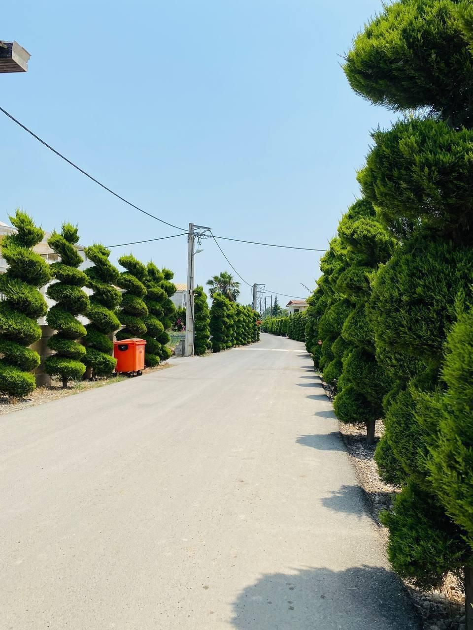 کاخ ویلا۵۷۰متری معاوضه باملک تهران/استخرسوناجکوزی|فروش خانه و ویلا|کلارآباد, |دیوار