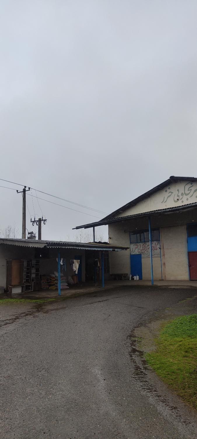 برنجکوبی بر جاده بین الملل|فروش دفتر صنعتی، کشاورزی، تجاری|صومعهسرا, |دیوار