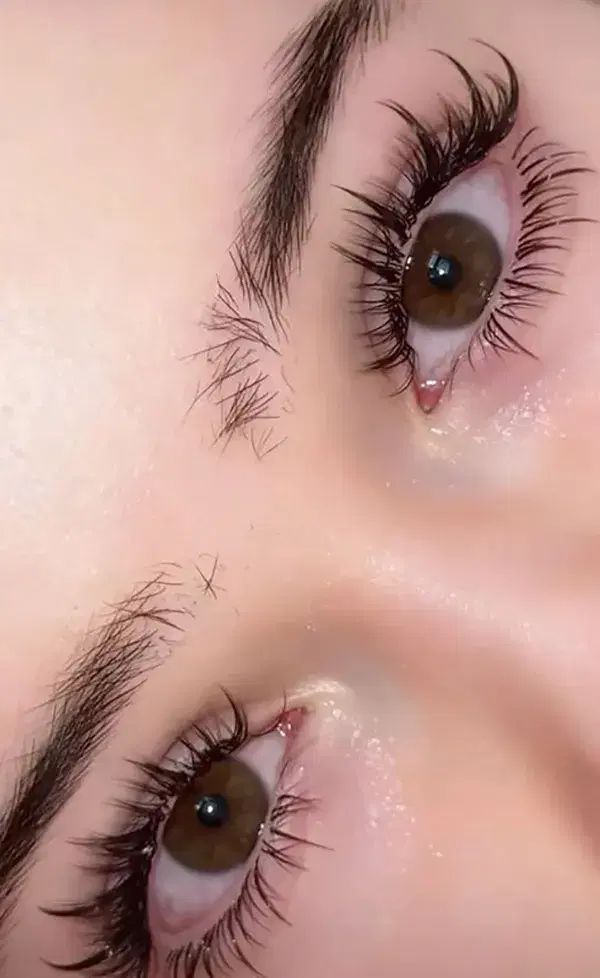 پاکسازی و فیشال میکاپ شینیون و کاشت مژه ورنگ|خدمات آرایشگری و زیبایی|مشهد, رسالت|دیوار