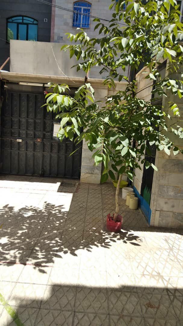 خانه دربست ۲/۵ طبقه با حیاط بزرگ|اجارهٔ خانه و ویلا|تهران, امام زاده حسن|دیوار