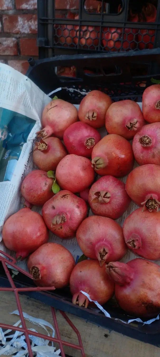 میوه گوجه انگور بادمجان انار پیاز گلابی|فروشگاه و مغازه|دزفول, |دیوار