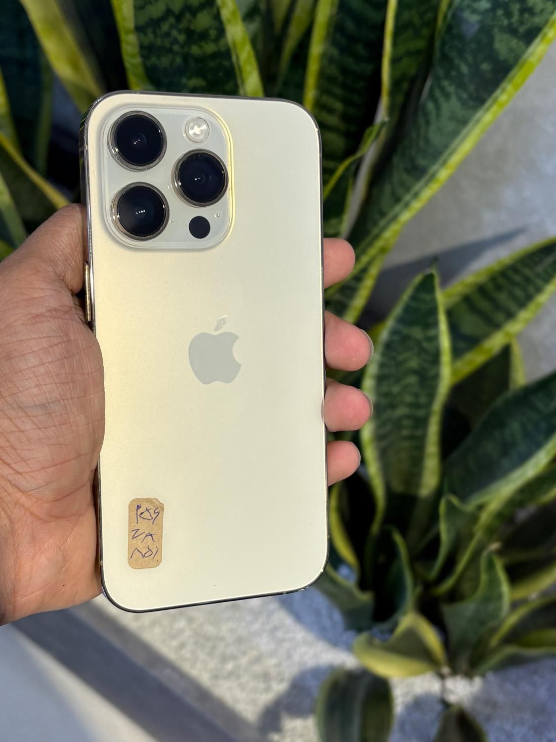 iPhone 14 Pro gold|موبایل|اصفهان, مفتح|دیوار
