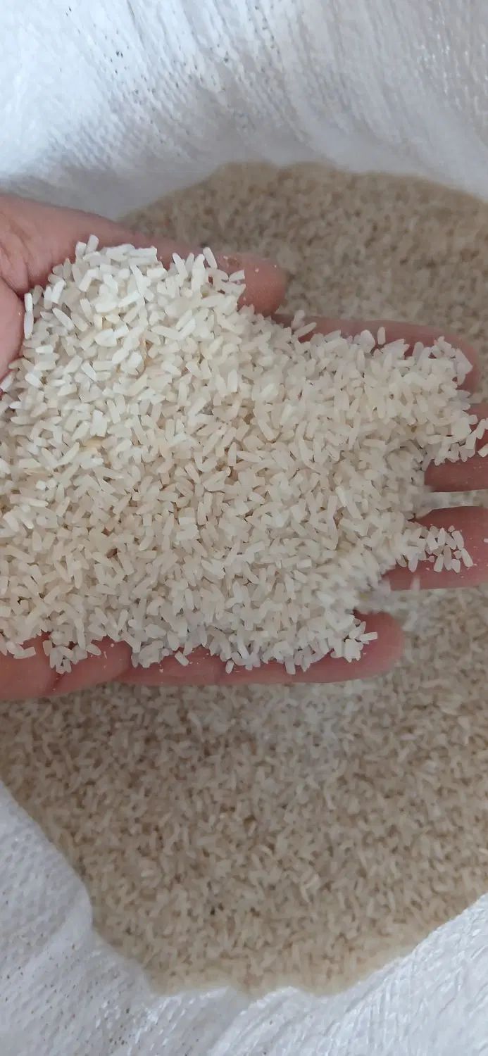برنج طارم هاشمی ۲۲۵ ت سرلاشه ۱۴۵ت فجر ۱۵۰ت|خوردنی و آشامیدنی|آمل, |دیوار