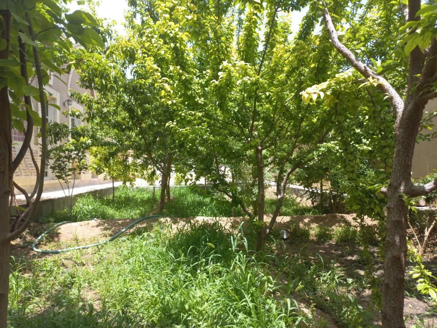 باغ استاد  بافضاوچشم اندازی بی نظیر|اجارهٔ کوتاه‌مدت ویلا و باغ|یزد, |دیوار