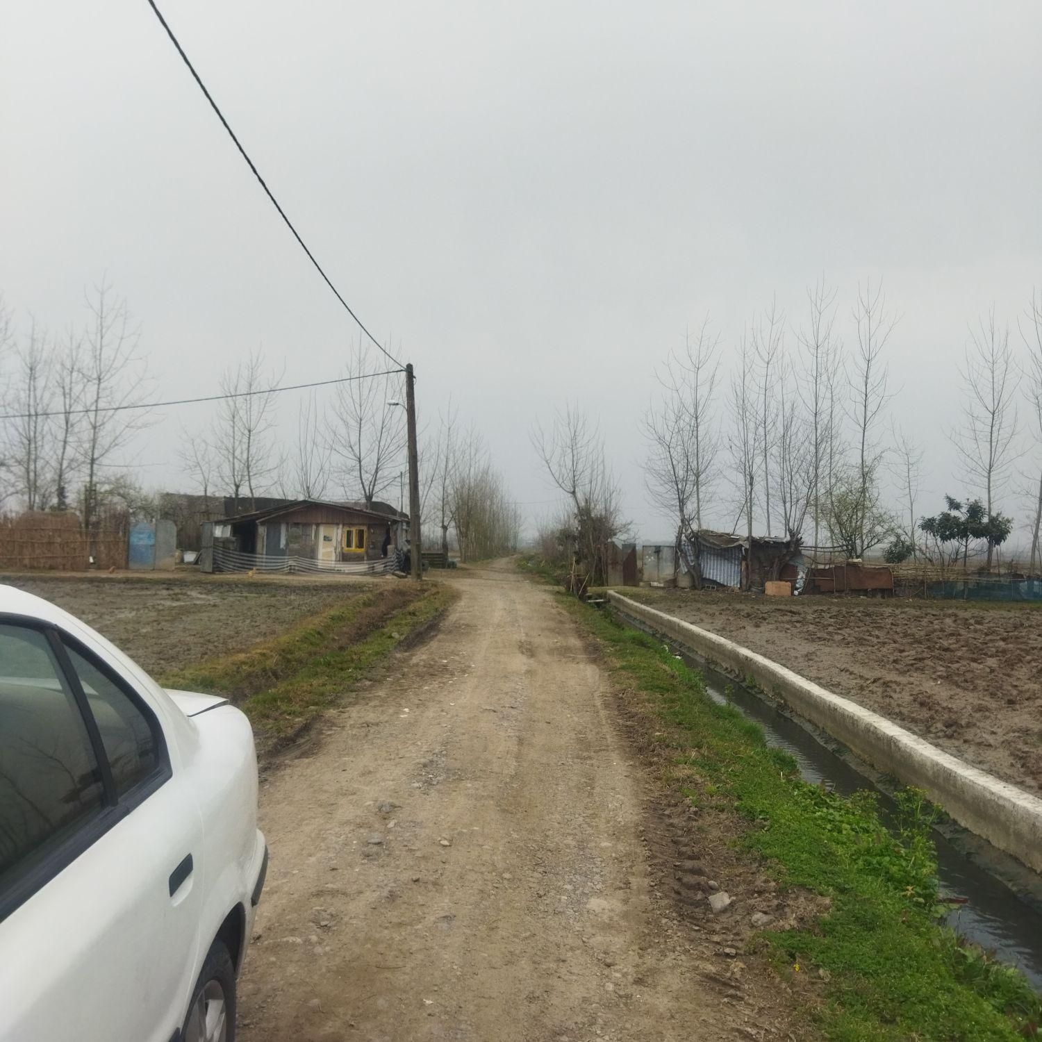 فروش زمین ۱۰۰۰ متری در سیاه اسطلخ|فروش زمین و ملک کلنگی|رشت, سیا اسطلخ|دیوار