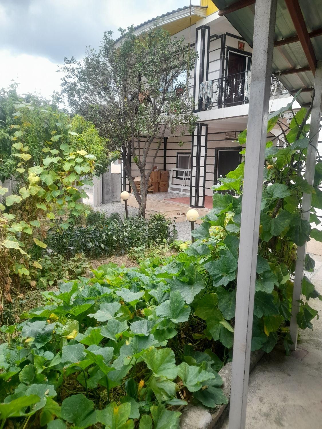 اجاره سوئت شبانه|اجارهٔ کوتاهمدت آپارتمان و سوئیت|چمستان, |دیوار