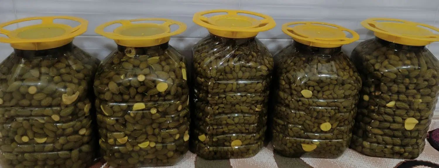 ترشی گلک.یاسوج|خوردنی و آشامیدنی|اصفهان, ابر|دیوار