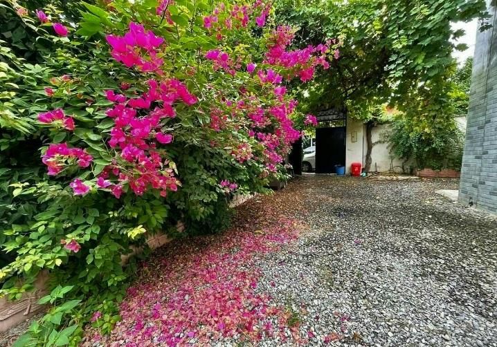 خانه ویلایی مستقل دنج جنگلی /سند / نزدیک به جاده|فروش خانه و ویلا|نور, |دیوار