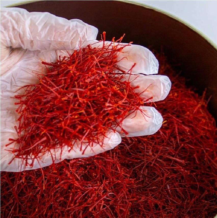 تولید وپخش عمده انواع زعفران خراسان(فله،بسته بندی)|عمده‌فروشی|شیراز, نصر|دیوار