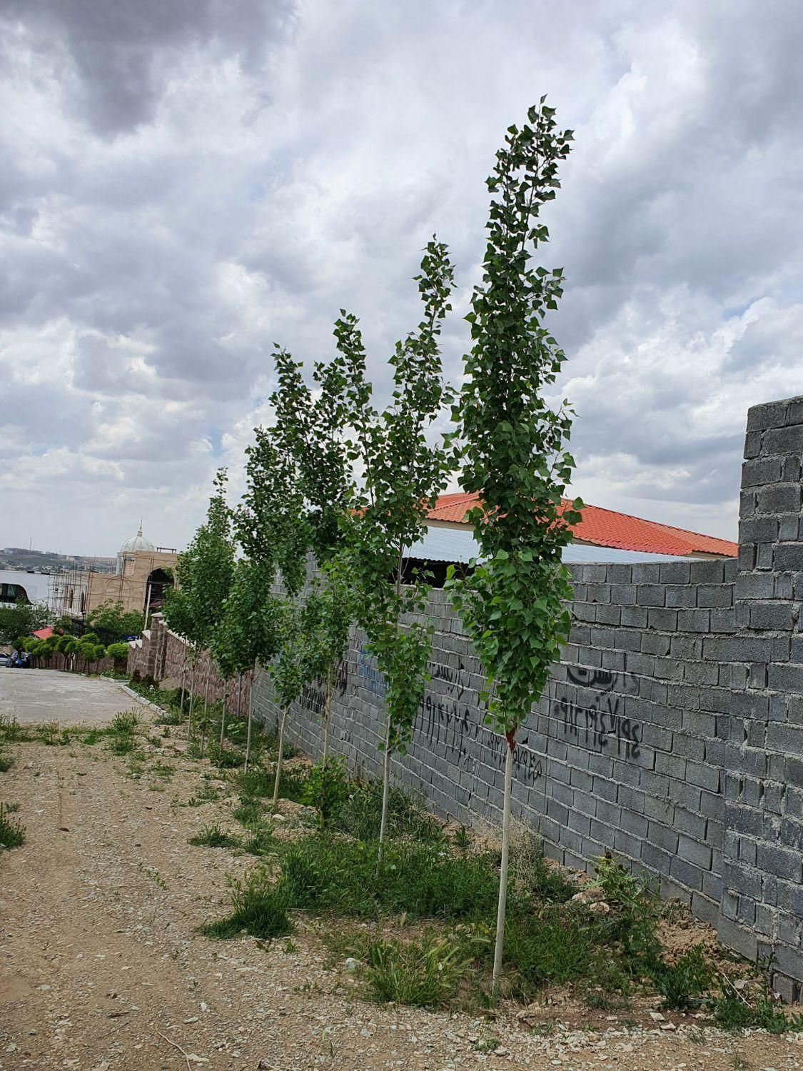 ۶۸۳متر زمین باغ مسکونی دماوند شلمبه پزشکپور|فروش زمین و ملک کلنگی|دماوند, دماوند|دیوار