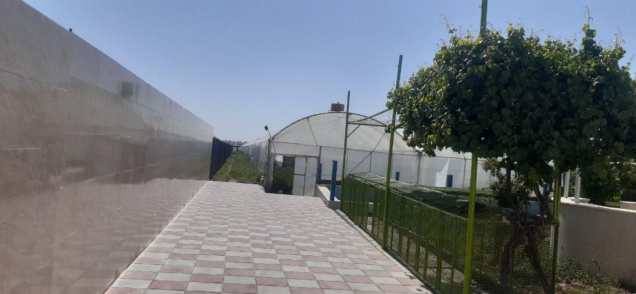 گلخانه خانه باغ|فروش دفتر صنعتی، کشاورزی، تجاری|قرچک, صالح آباد|دیوار