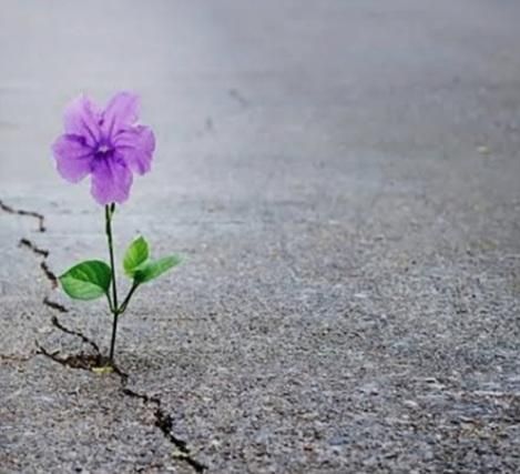 پیدا شده|اشیا|اردبیل, |دیوار
