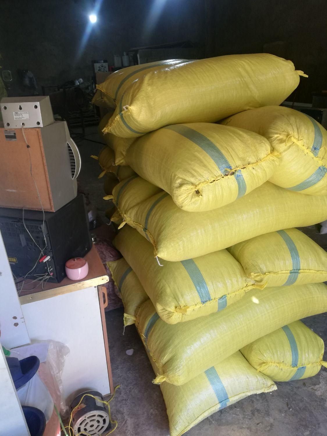 پخش تخمه ایرانی خارجی|خوردنی و آشامیدنی|کرج, میدان میوه و تره بار مرکزی|دیوار