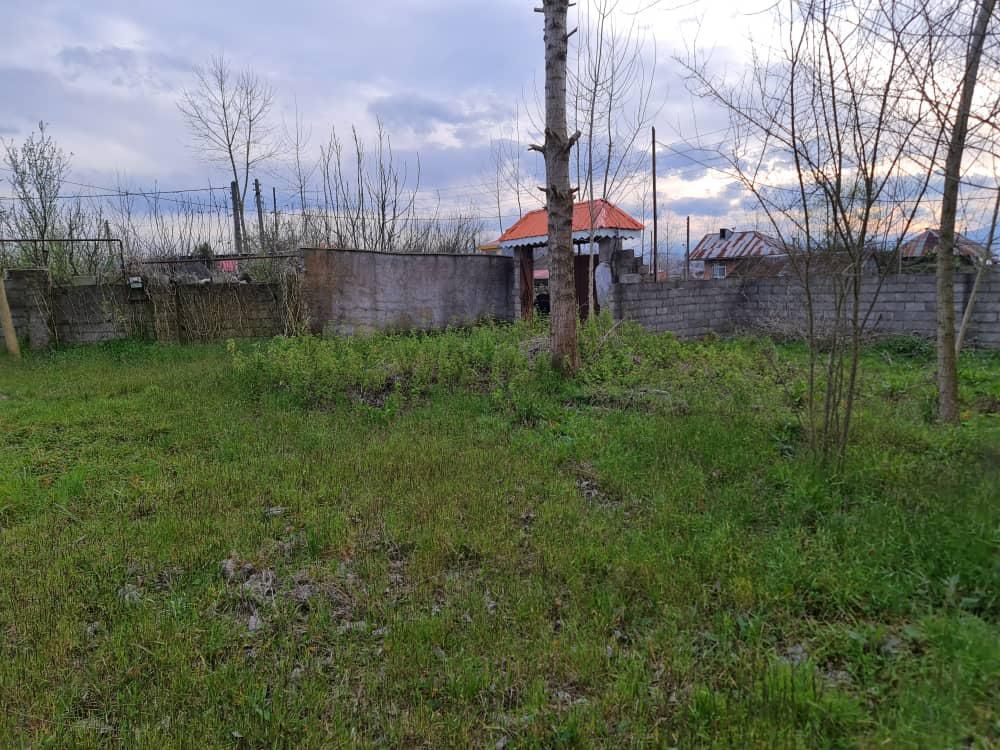 فروش زمین ۶۰۳ متری در روستای سمس|فروش زمین و ملک کلنگی|رشت, امین الضرب|دیوار