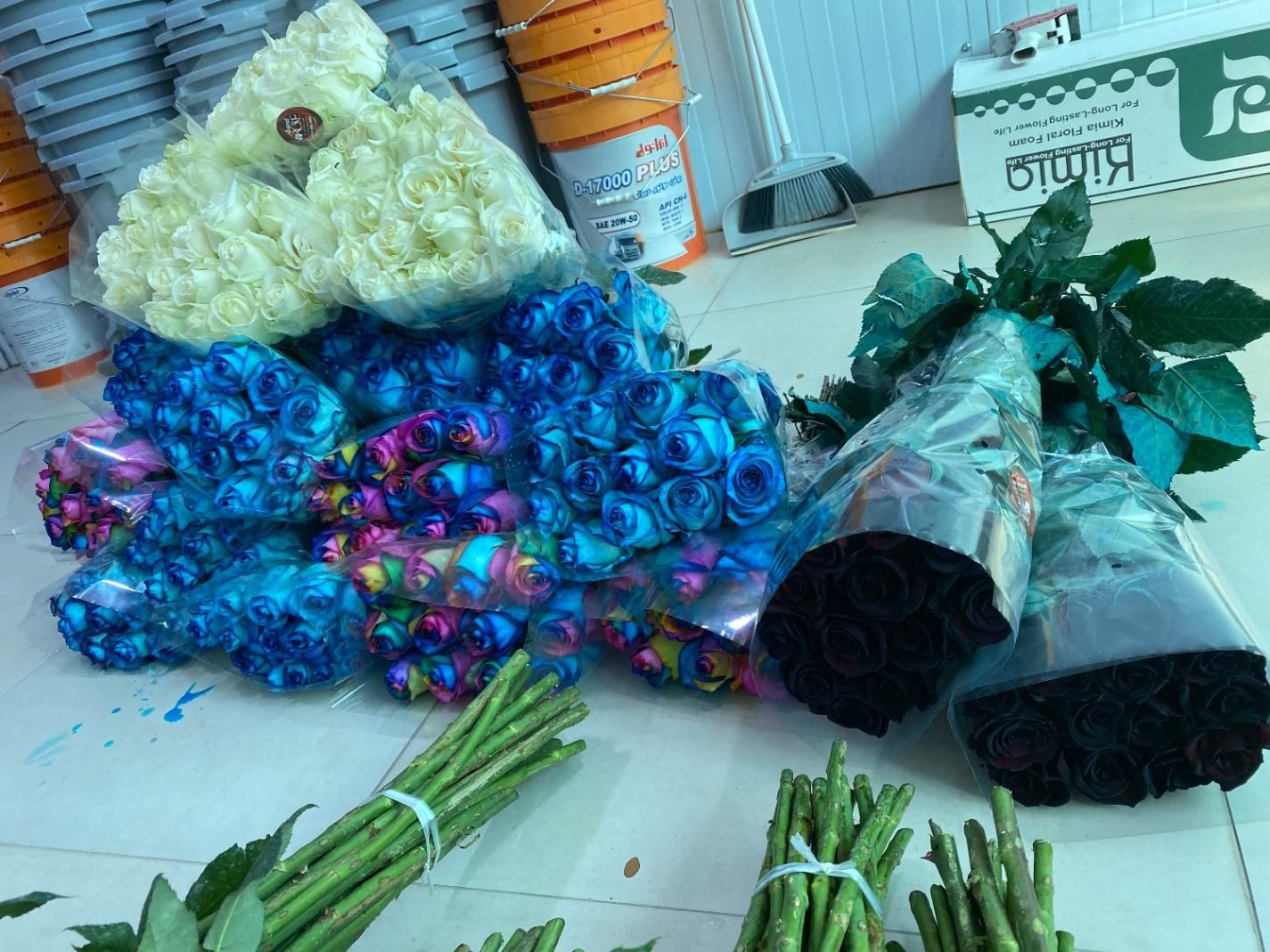 پخش عمده رز هلندی|گل و گیاه طبیعی|شیراز, باغ تخت|دیوار