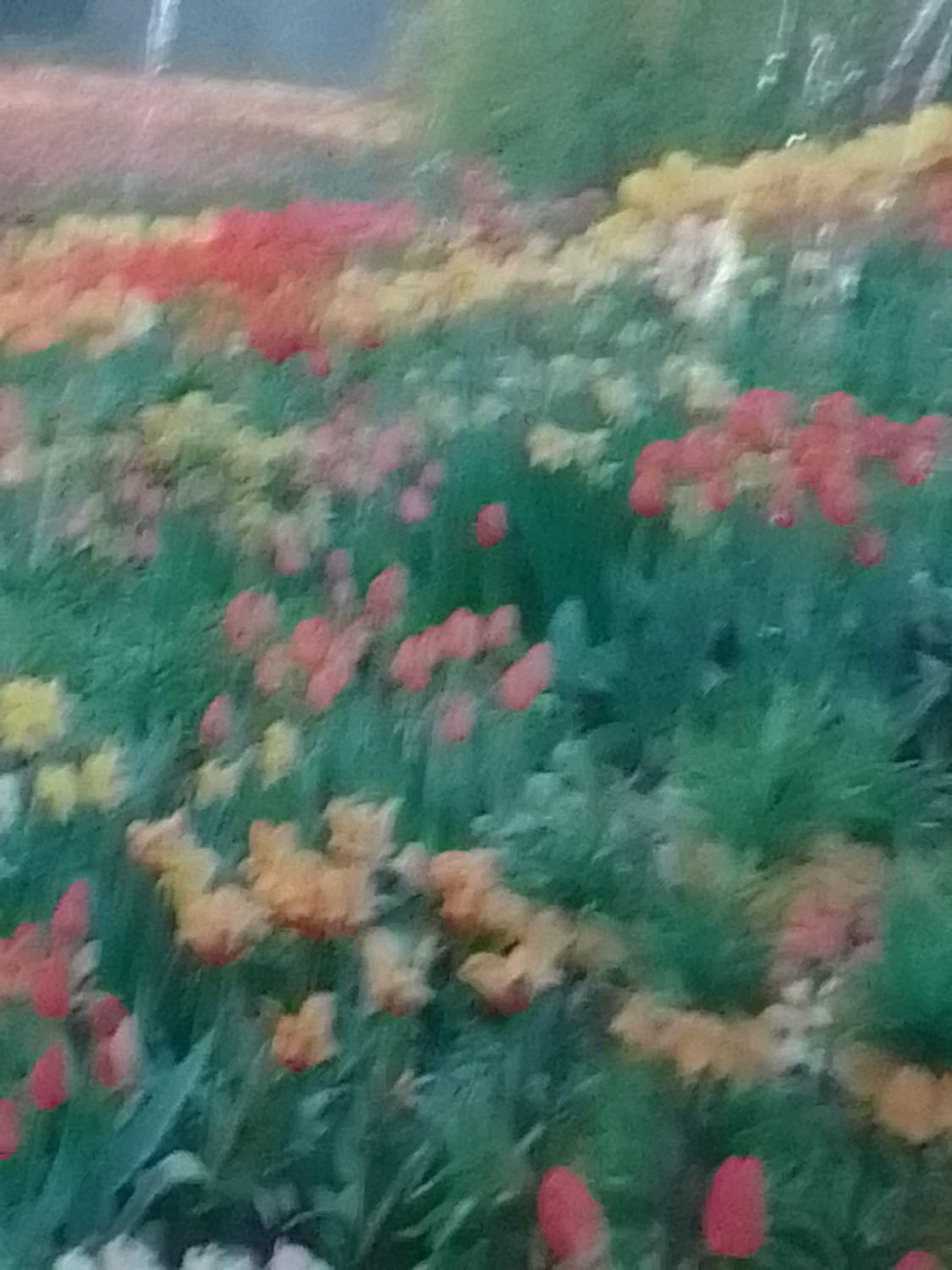 مشاوره نویسندگی|فعالیت داوطلبانه|تهران, سازمان برنامه شمالی|دیوار