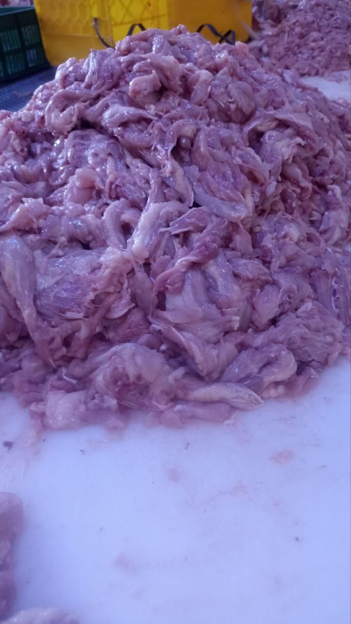 فروش  استیک گوشت گردن مرغ (خرده  گوشت )|خوردنی و آشامیدنی|شیراز, بید زرد|دیوار