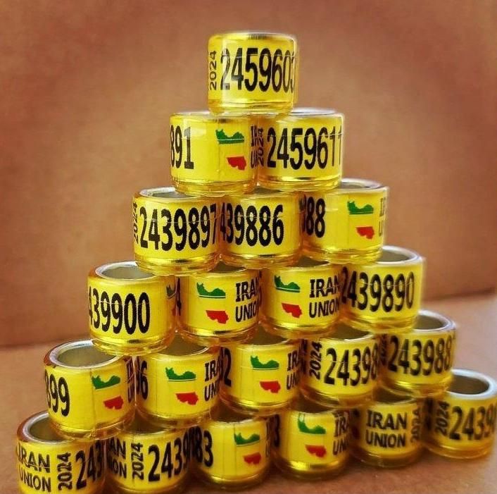 ۱۱پلاک کبوتر برای انواع کبوتر یازدهم...|لوازم جانبی حیوانات|رشت, سعدی (تختی)|دیوار