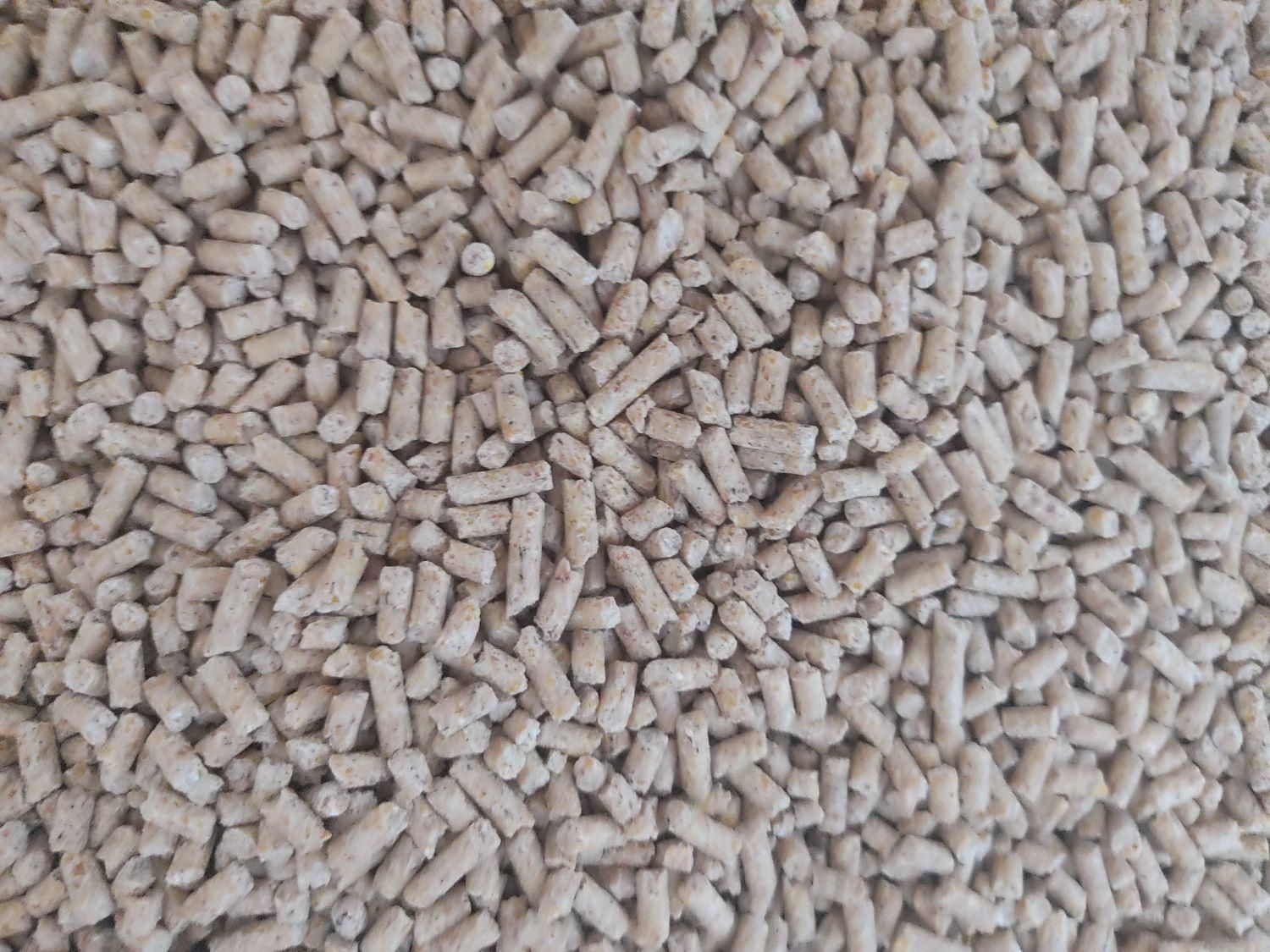 انواع کنسانتره و دان ذرت سویا بوقلمون مرغ بلدرچین|حیوانات مزرعه|بوکان, |دیوار