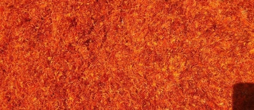 گلرنگ  مال امسال|خوردنی و آشامیدنی|اصفهان, ارغوانیه|دیوار