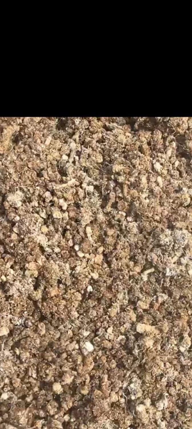 کود مرغ پوچ مرغ|خدمات باغبانی و درختکاری|خان ببین, |دیوار