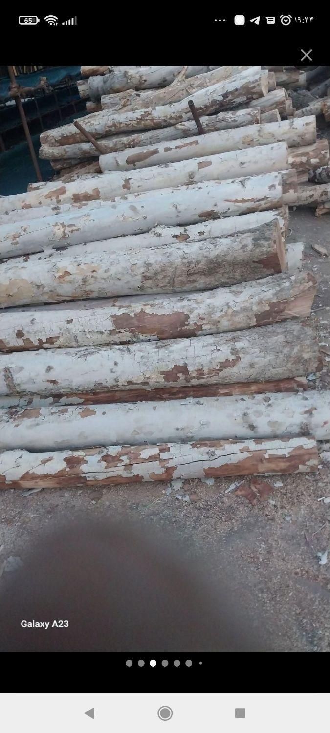 درخت چوب|خدمات باغبانی و درختکاری|تهران, گمرک|دیوار