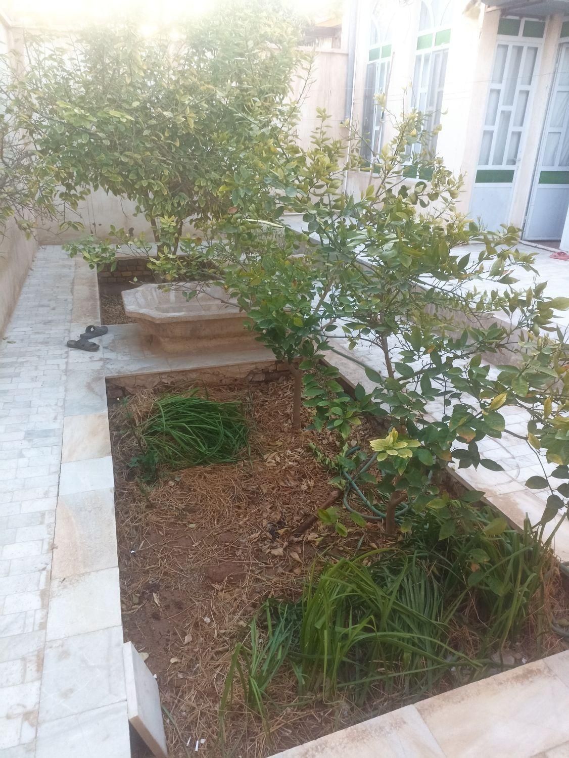 اجاره خانه سوییت پارکینگ دار ،روزانه|اجارهٔ کوتاه‌مدت آپارتمان و سوئیت|میبد, |دیوار