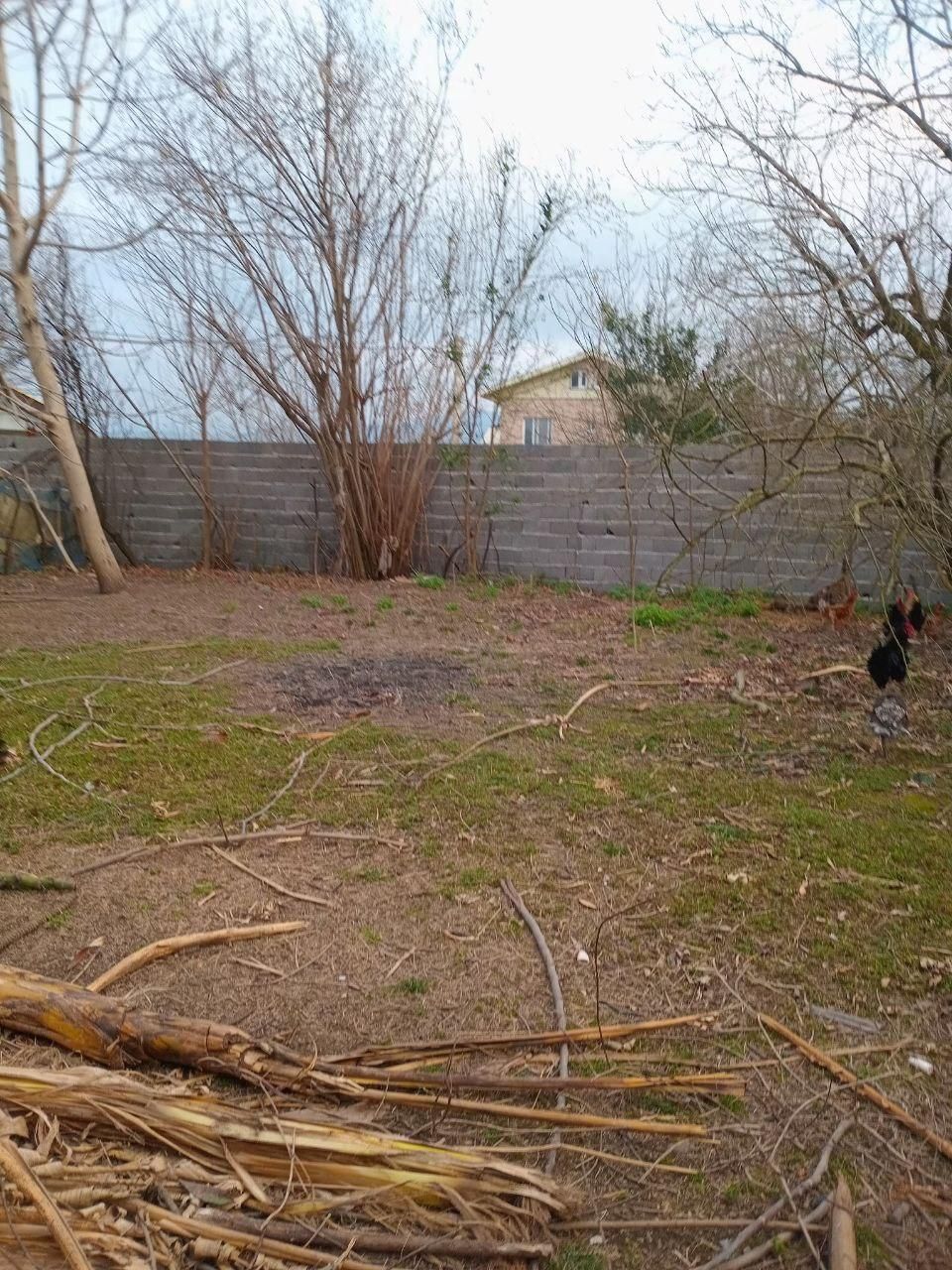 فروش زمین ۲۳۵ متری مسکونی|فروش زمین و ملک کلنگی|رشت, ترمینال|دیوار