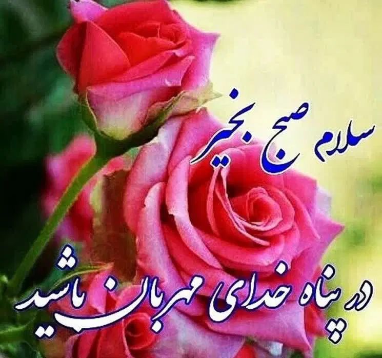 نیازمندکارگریاشریک درکافه خانم واقافرقی نداره|استخدام خدمات فروشگاه و رستوران|کرمانشاه, |دیوار