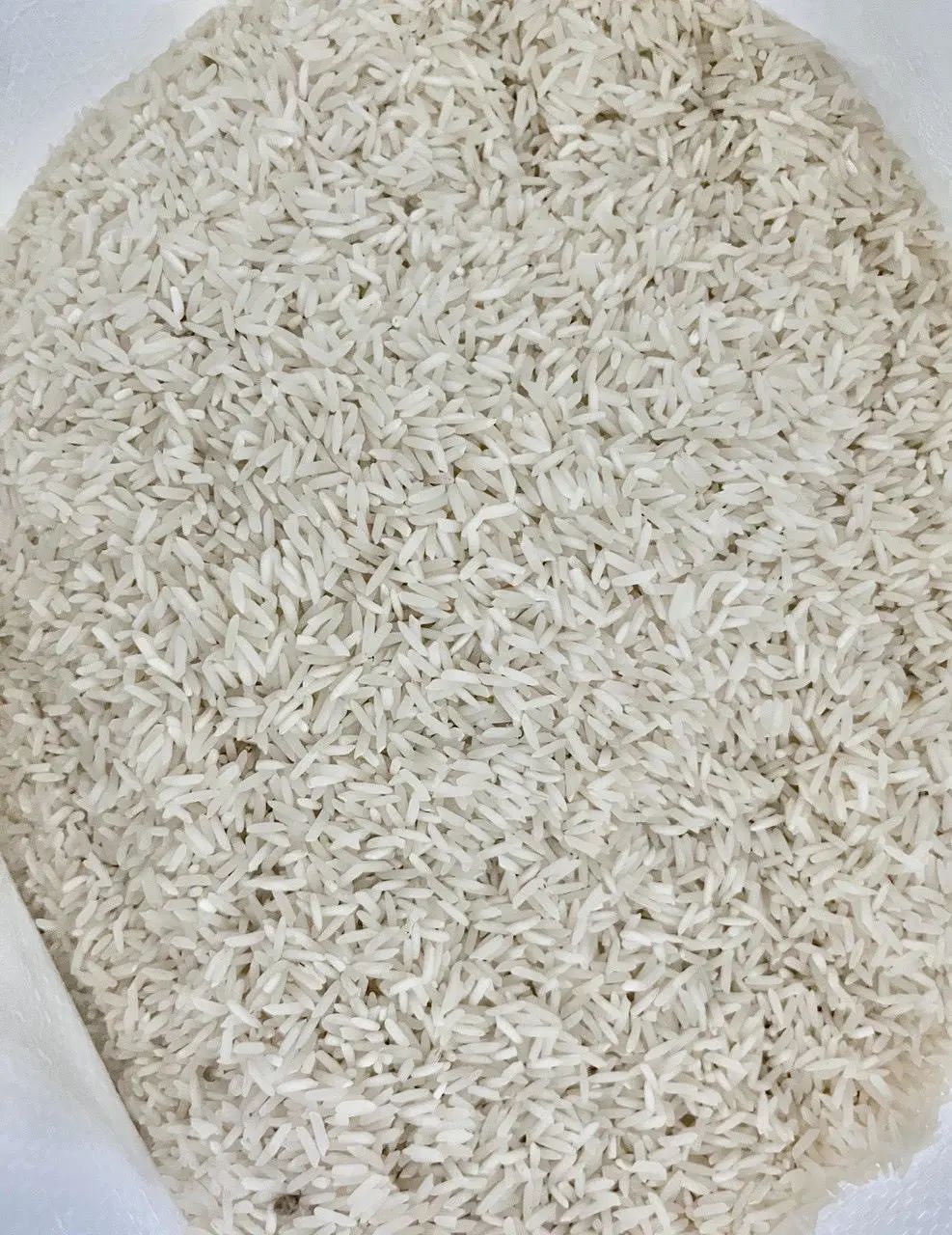 فروش برنج طارم درجه یک|خوردنی و آشامیدنی|رشت, پل تالشان|دیوار