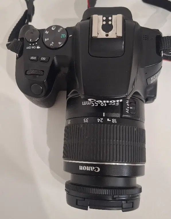 دوربین عکاسی Canon 250 D|دوربین عکاسی و فیلم‌برداری|مشهد, امام رضا (ع)|دیوار