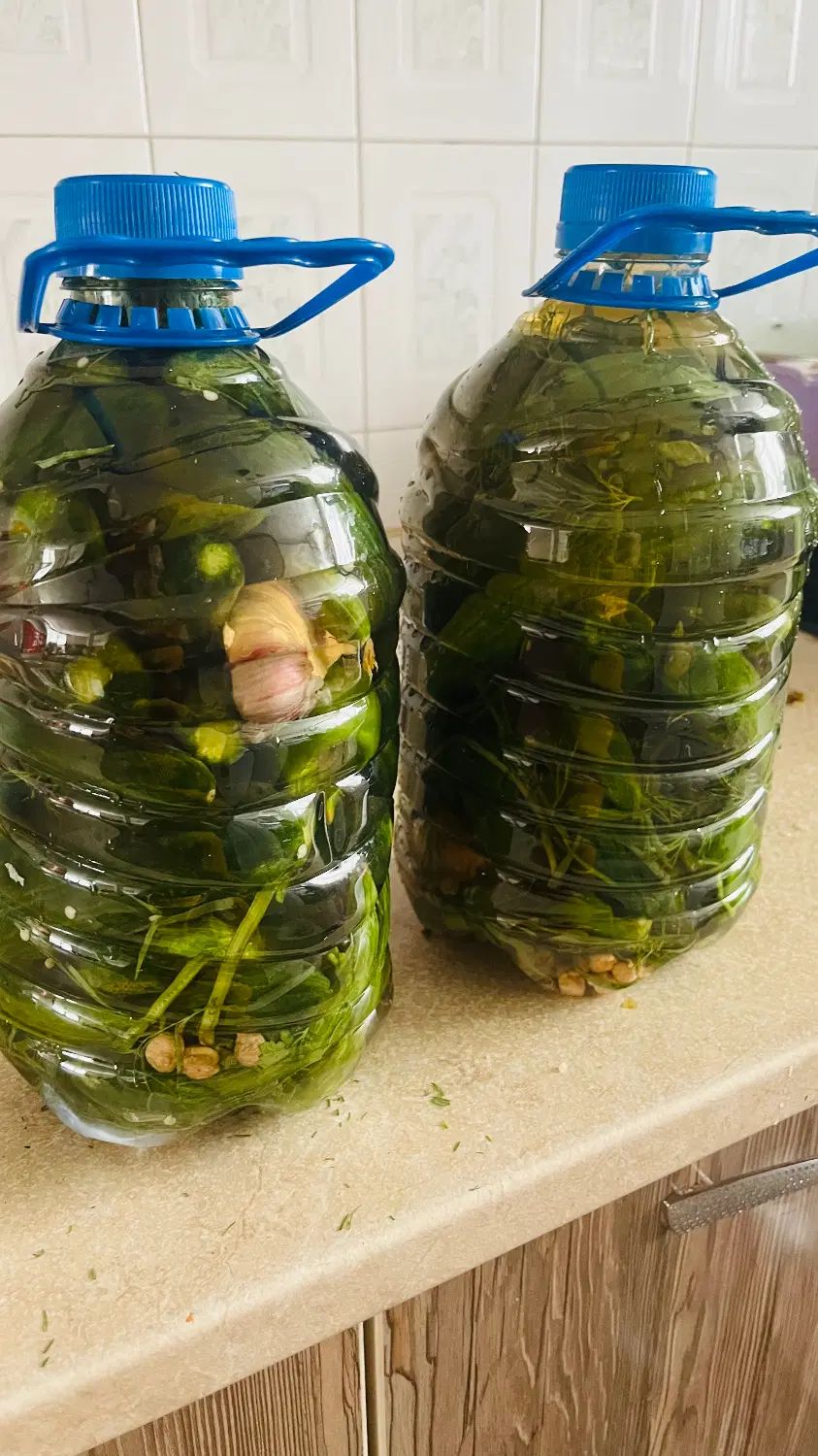 خیارشور و ترشی خانگی تضمینی|خوردنی و آشامیدنی|کرج, فاز ۱ مهرشهر|دیوار